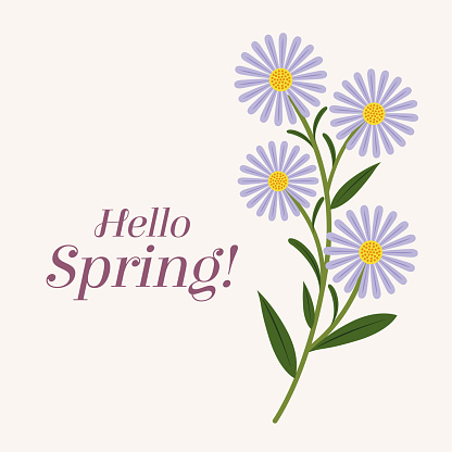 Background for spring season with Hello Spring text. Banner greetings design with daisy. Stock illustration