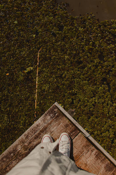 istock at the end of the wooden platform 1472310932