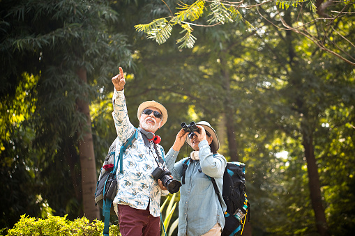 Senior couple exploring forest using binoculars and photographing with camera during vacation post retirement