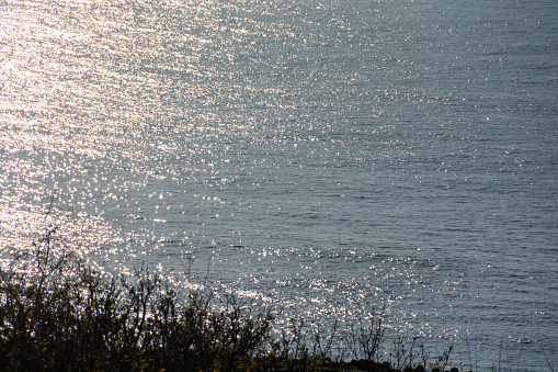 The calm sea reflecting the sun's rays