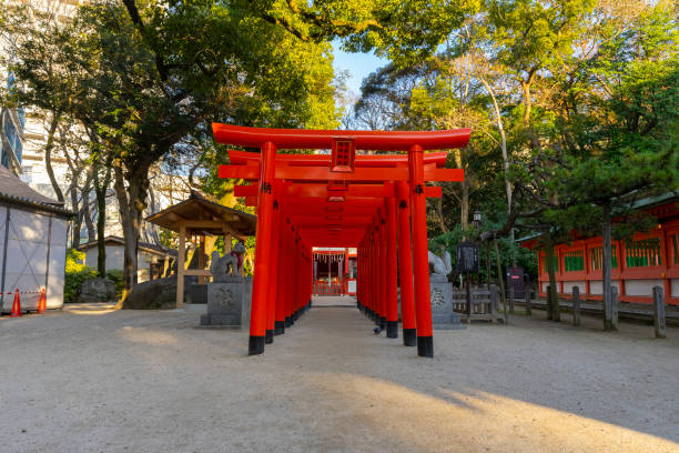 belle vue sur le sanctuaire sumiyoshi avec un ciel bleu à fukuoka, japon. - shintoïsme photos et images de collection