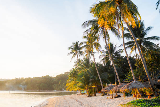 malowniczy widok na idylliczną plażę na koh samui - thailand surat thani province ko samui coconut palm tree zdjęcia i obrazy z banku zdjęć