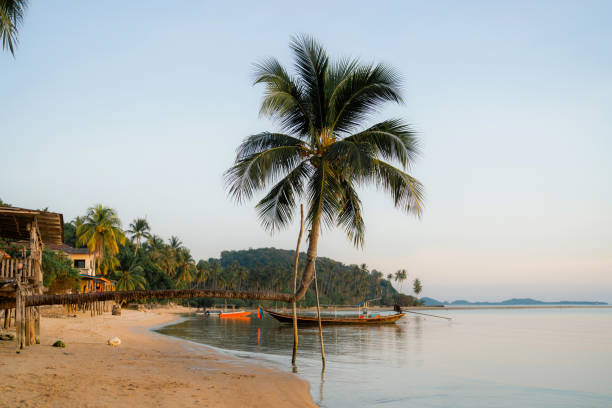 istock Scenic view of idyllic beach in Koh Samui 1472315642
