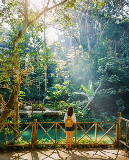 istock Woman standing near the waterfall in tropical forest 1472316921