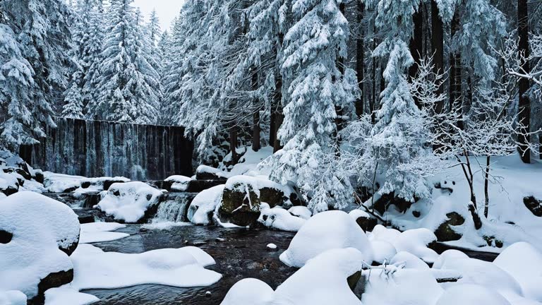 Stream and waterfall in winter among the trees covered by snow