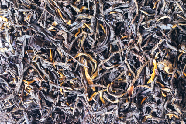 istock Black tea background. Black tea shot close up. Black tea macro.Top view. Close up. High resolution. 1472322916