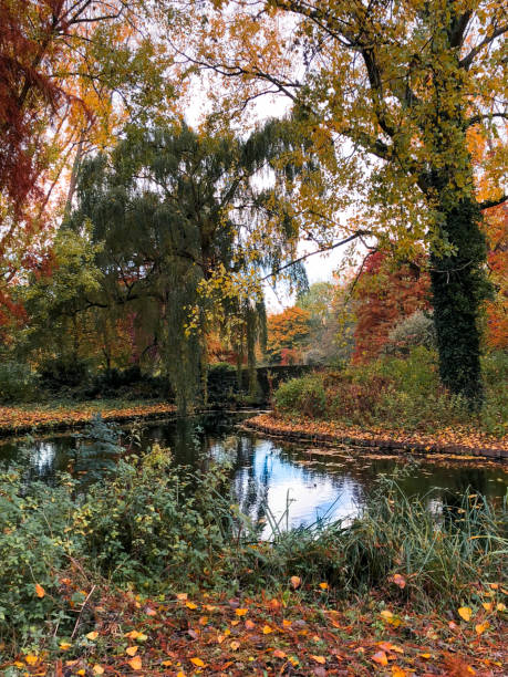istock Moody days in the park 1472327000