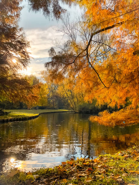 Wilhelminapark in Delft