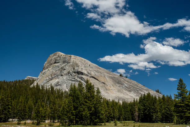 istock Lembert Dome surrounding by Pine Trees 1472329885