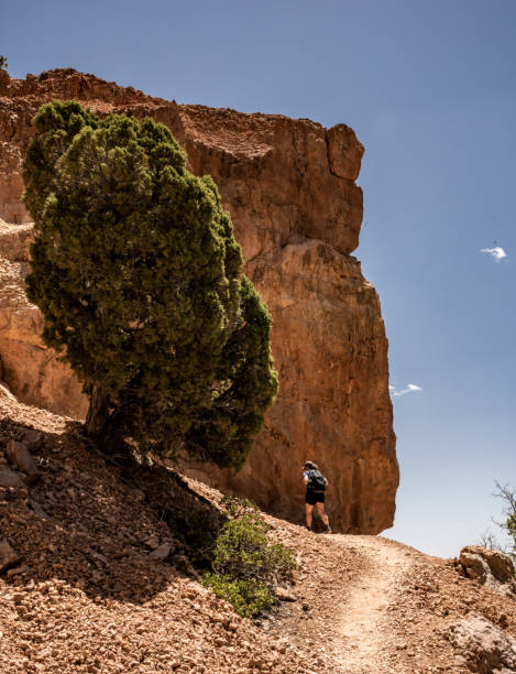 istock Orange Boulder Looms Over Trail as it Bends around Corner 1472330239