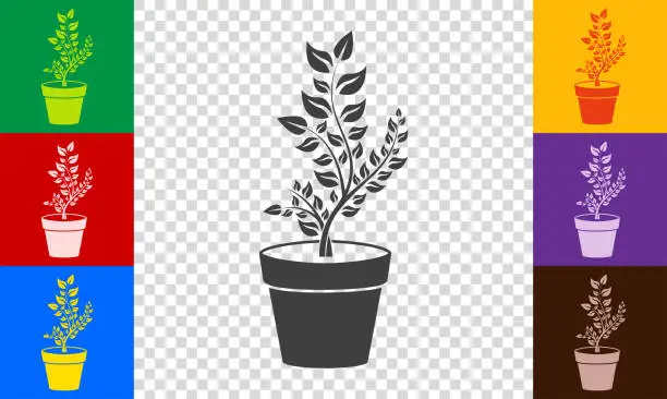 Vector illustration of Plant growth icon set.