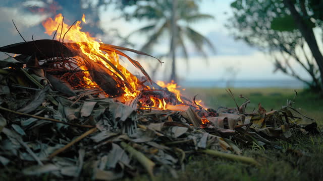 Close-up Bonfire in a tropical jungle