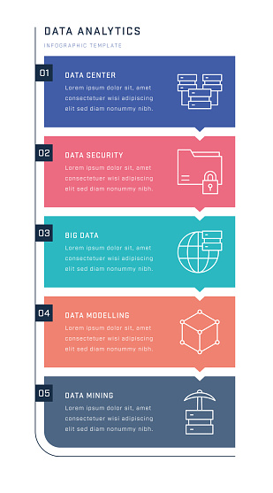 Data Analytics Inforgraphics Data Analytics Vertical Infographic Design Stock Illustration ...