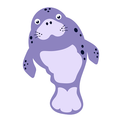 flat vector illustration of cute manatee isolated on white background, scandinavian style, dugong in cartoon style