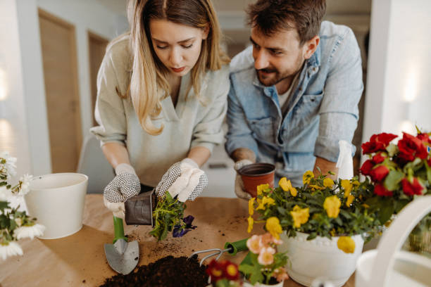 Young couple planting flowers stock photo
