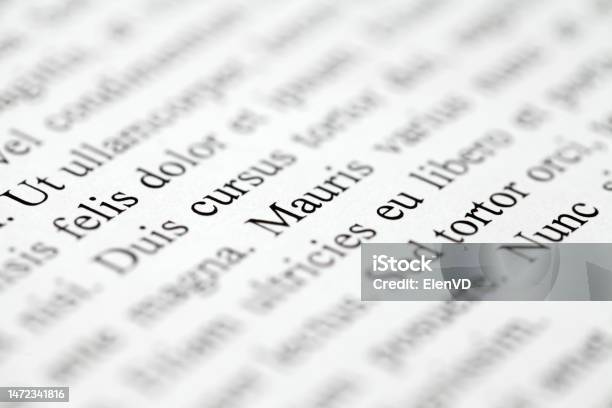 Lorem Ipsum On Printed On Paper Project Inscription Note Middle Of Text On Diagonal Selective Focus Stock Photo - Download Image Now