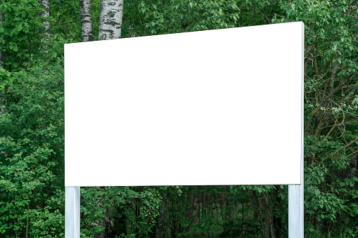 Empty white wooden information board with mock up space stands against forest outdoor