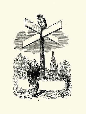 Vintage illustration Man looking up at owl sitting on blank direction sign, Victorian, 19th Century