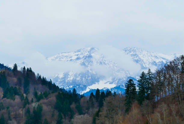 Seasonal Alpine Landscapes