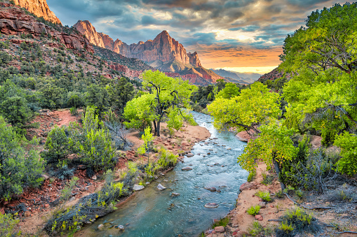 The Watchman and the North Fork Virgin River in Zion National Park, Utah, USA at sunset.