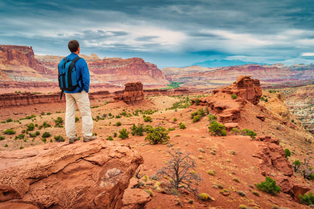 Hiker Capitol Reef National Park Utah USA Sunset Point Hiker looks at view at Sunset Point in Capitol Reef National Park in Utah, USA. capitol reef national park stock pictures, royalty-free photos & images