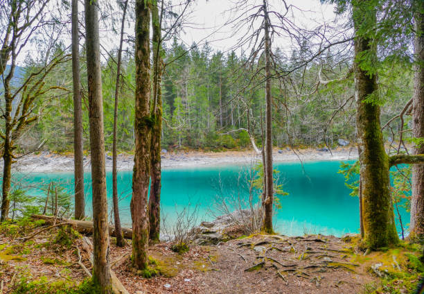 istock Beautiful alpine Lake 1472353295