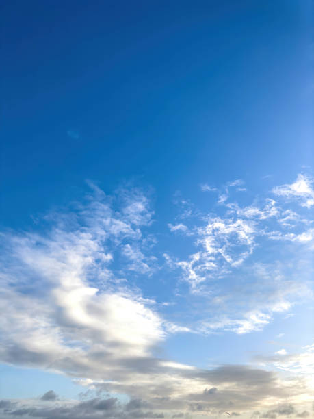 céu azul com nuvens brancas, espaço de cópia. - cirrostratus - fotografias e filmes do acervo