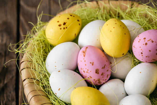 osterkomposition mit eiern in einem dekorativen nest. - craft eggs easter animal egg stock-fotos und bilder
