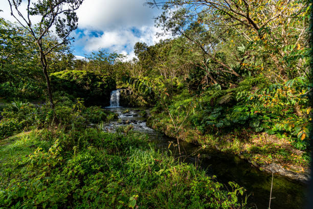 istock Waterfalls Along the Road to Hana 1472357063