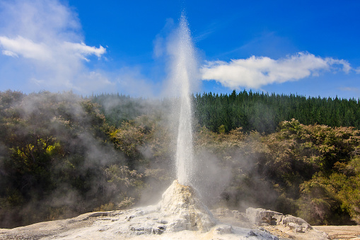 Lady Knox Geyser in thermal park Wai-O-Tapu in New Zealand