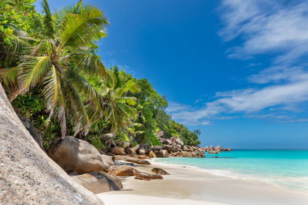 istock Beach Anse Georgette, Praslin, Seychelles 1472359704