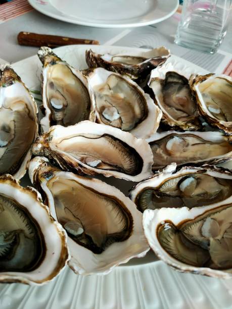 istock Oyster french 1472364913