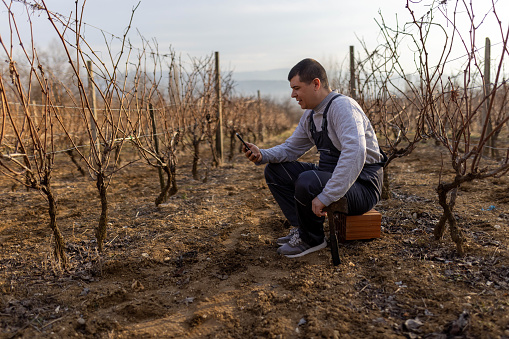 The man is in the vineyard. He's resting from hard work, sitting on the brick, and using his smartphone to talk.