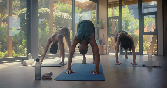 Yoga, pose and people in a class for fitness, stretching and training the body for flexibility. Workout, health and group of friends in a room for pilates, zen exercise and wellness together