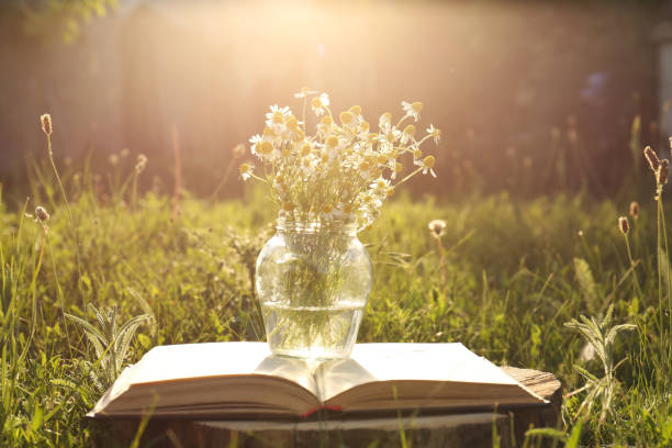 istock Open book and jar with chamomiles on green grass outdoors 1472377456