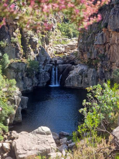 滝のある自然の岩のプール - natural phenomenon waterfall rock tranquil scene ストックフォトと画像