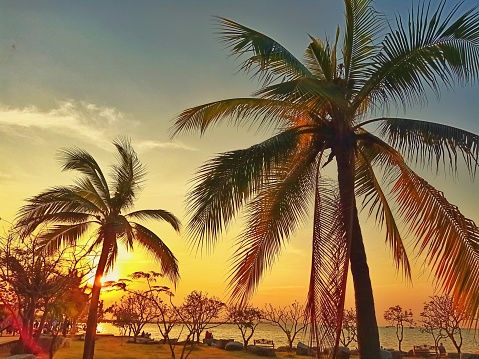 A photo of a natural view of the sea and the sun is about to set on the horizon. The front of the scene is a coconut tree reflecting the shadow of the coconut tree and in front of the rocks on the beach. This photo from Sriracha District, Chonburi Province, Thailand