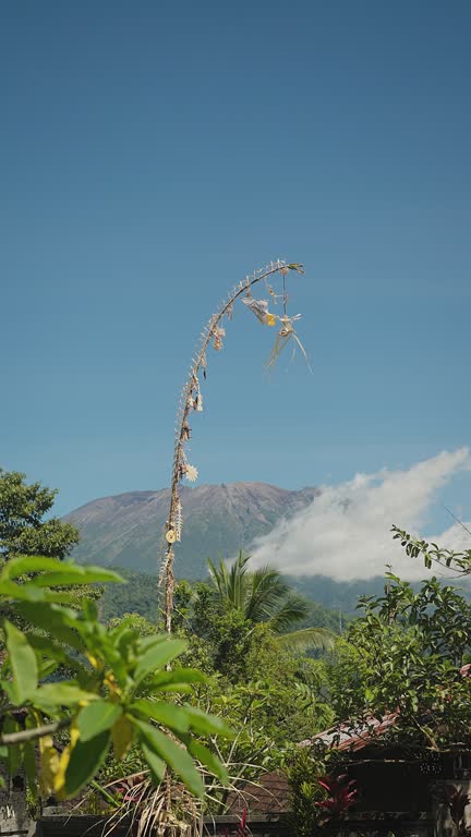 Balinese decoration Penjor for traditional Galungan Kuningan celebration vertical video