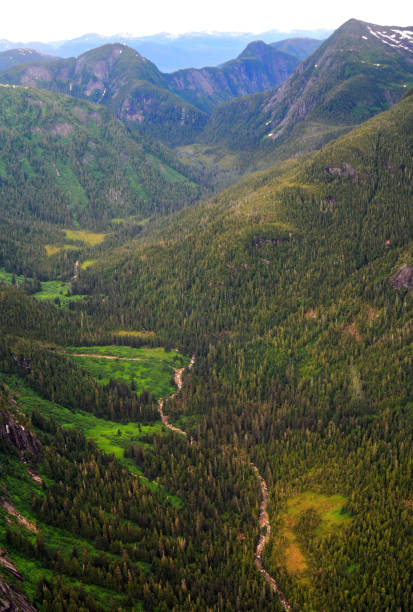 Vertical frame ariel view of a valley running through the green Misty Fjords in Alaska. A river runs through leading the eye and mountains with fir trees to the distant mountains in the background.