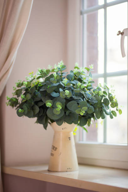 istock Eucaliptis plant in a vase 1472393728