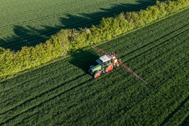 Tractor works in the field, aerial view stock photo