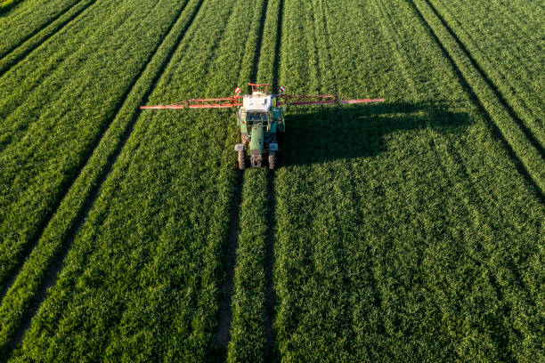 istock Tractor in the field, aerial view 1472396771