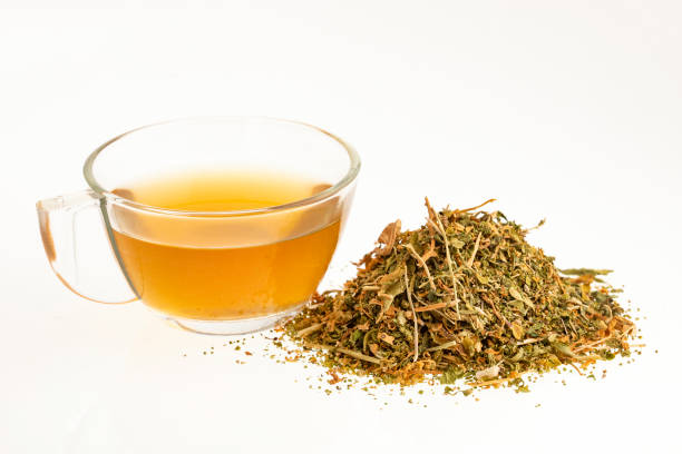 istock Medicinal epazote hot tea - Dysphania ambrosioides 1472396950
