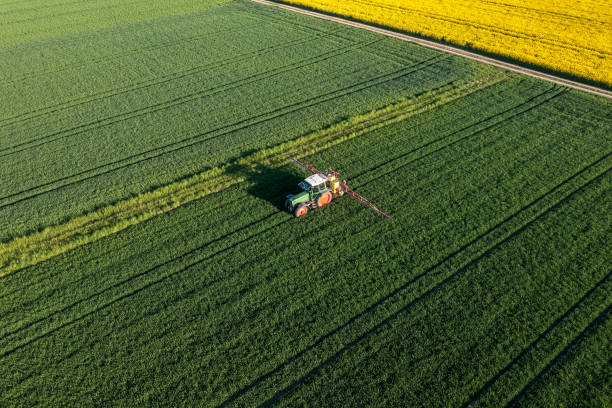 Aerial view of a tractor works in the field stock photo