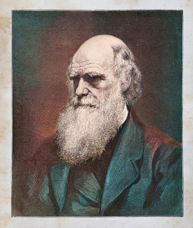Steel engraving of naturalist Charles Darwin
Original edition from my own archives
Source : Correo de Ultramar 1882