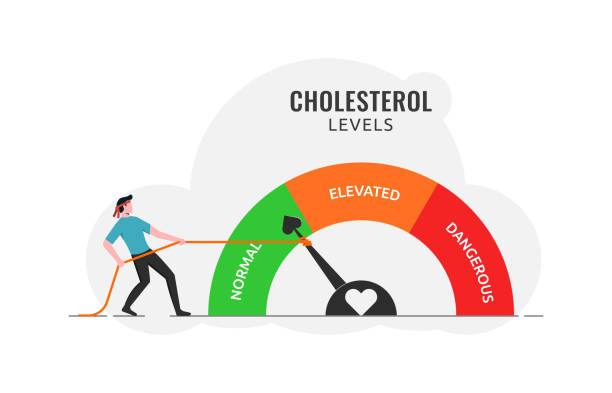 wskaźnik poziomu cholesterolu ze wskaźnikiem strzałki do analizy zdrowia i zdrowia serca, test wysokiej i niskiej zawartości tłuszczu, ryzyko krwi i dobra lub zła kontrola zdrowia, człowiek ciągnący linę do normalnej pozycji - cholesterol stock illustrations