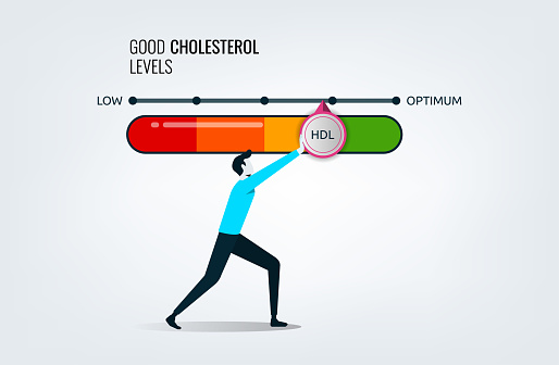 Good cholesterol levels gauge with arrow indicator for healthcare and heart health analysis, a man pushing bar to optimum position, dietary lifestyle to increase HDL in the blood for vascular heart