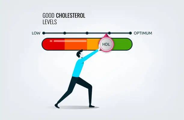 Vector illustration of Good cholesterol levels gauge with arrow indicator for healthcare and heart health analysis, a man pushing bar to optimum position, dietary lifestyle to increase HDL in the blood for vascular heart