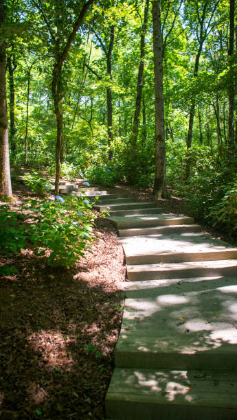 den garten  - shawnee national forest stock-fotos und bilder