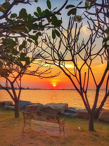 The sun is setting on the edge of the sea The front scene is a line of rocks separating the seaside and the park. There are chairs for sitting and relaxing. Surrounded by frangipani trees symbol of the beach The image has been adjusted to an orange tone. Gives a sense of hope every day. This photo was taken at Koh Loi Public Park, Sriracha District, Chonburi Province, Thailand.
